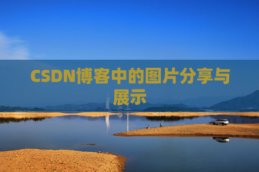 CSDN博客中的图片分享与展示
